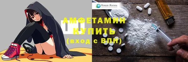 индика Корсаков