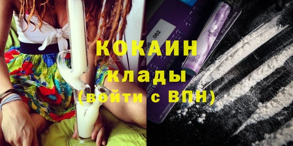 шишки Козловка