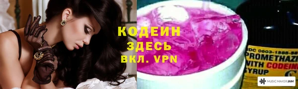 индика Корсаков