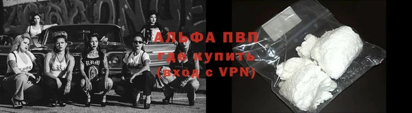 гидра Коряжма