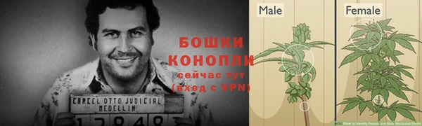 индика Корсаков