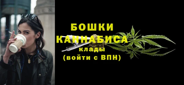 шишки Козловка