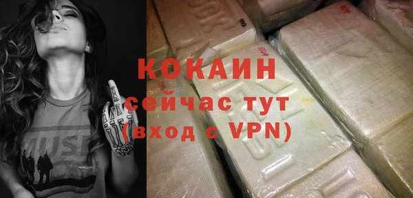 шишки Козловка