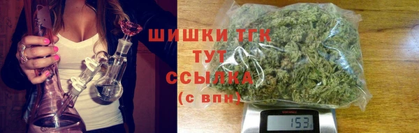индика Корсаков