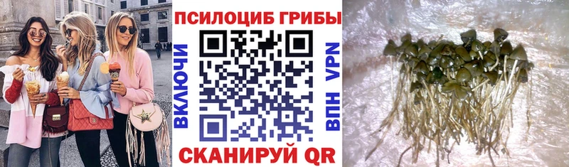 Галлюциногенные грибы MAGIC MUSHROOMS  что такое наркотик  Котельнич 